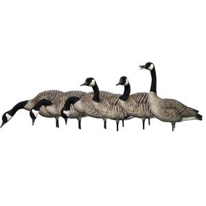 APPELANT OUTARDE AVIAN X AXP HONKERS : FUSION PACK
